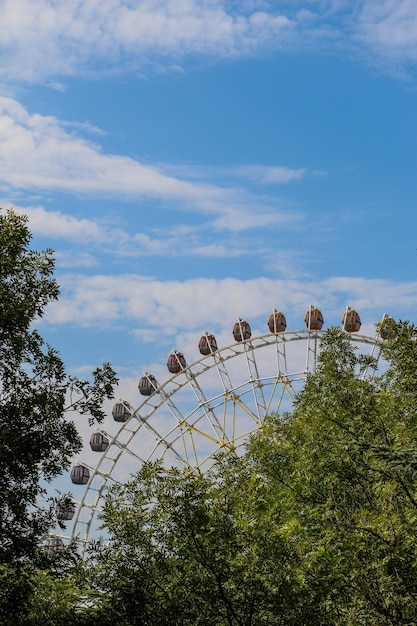 Zdjęcie ferris wheel w parku rozrywki w zielonym regionie