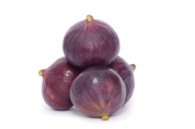 Fig