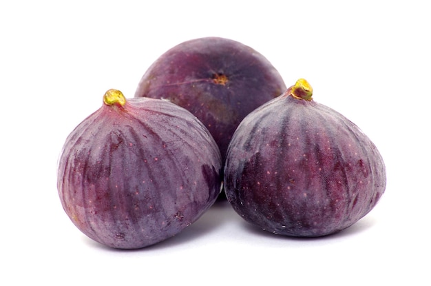 Fig