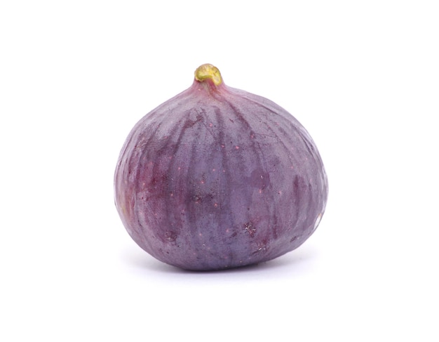 Fig