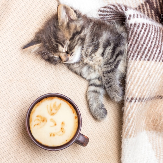 Filiżanka Kawy W Pobliżu śpiącego Małego Kotka. Gorąca Kawa W łóżku. Poranek Zaczyna Się Od Kawy. Czas Wstawać. Plac_