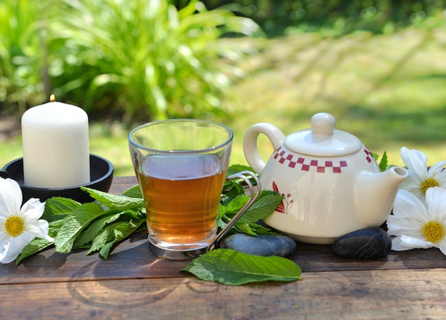 Filiżanka miętowa herbata i teapot na drewnianym stole w ogródzie