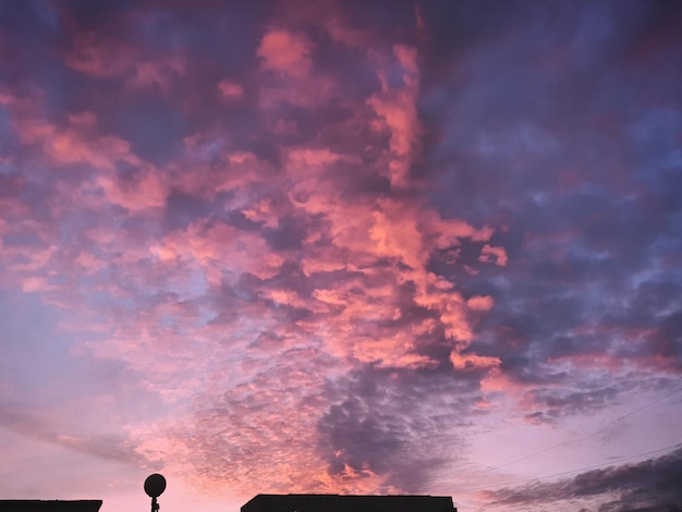 Zdjęcie fioletowe niebo