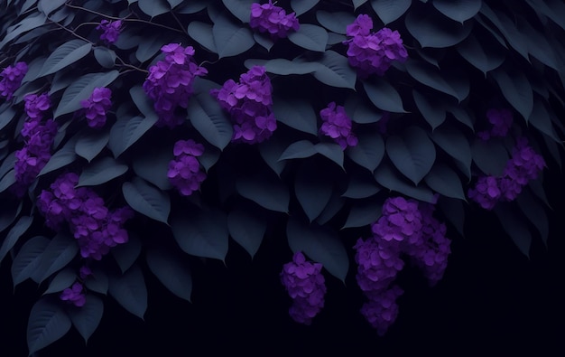 Fioletowy kwiat na ciemnym tle