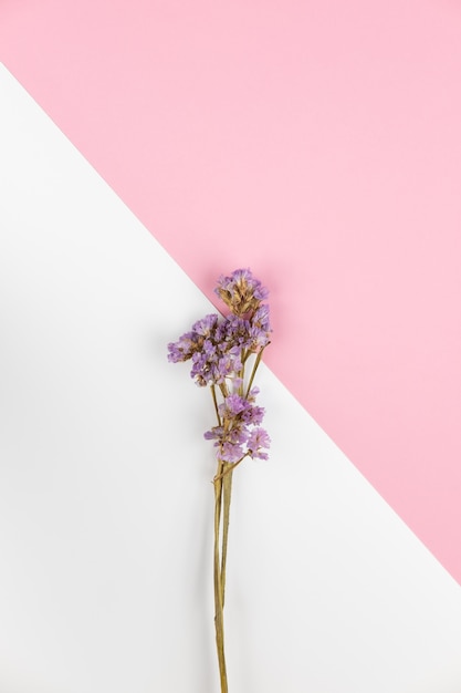 Zdjęcie fioletowy kwiat statice na jasnoróżowym i białym stole