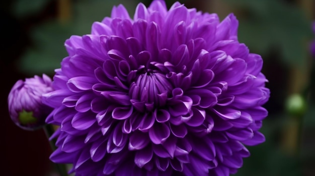 Fioletowy kwiat ze słowem „na nim”
