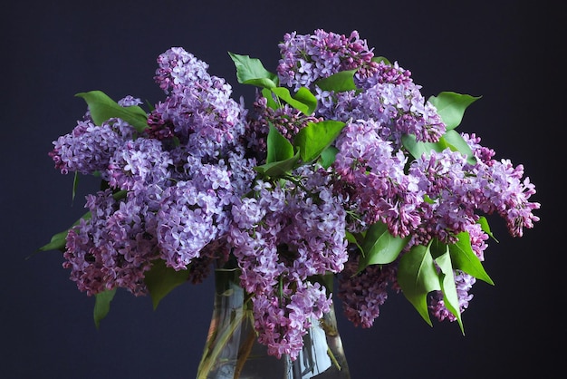 Fioletowy liliowy bukiet zbliżenie na ciemnym tle naturalny