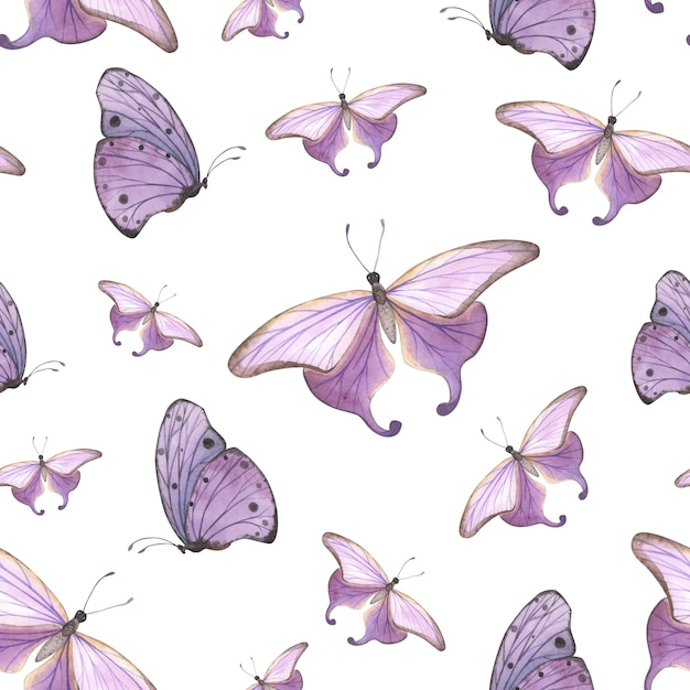 Fioletowy motyl bez szwu ze szczegółowymi skrzydłami izolowanymi na białym tle Akwarela ręcznie rysowane do projektowania
