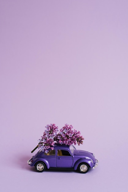Fioletowy samochodzik z kwiatami bzu na dachu na liliowym tle Dostawa kwiatów Koncepcja wakacji urodzinowych Dzień matki Walentynki Dzień wiosny