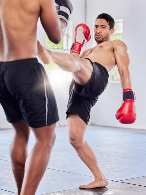 Fitness kickboxing i trening mma ćwiczenia i trening walki na siłowni z męskimi rękawiczkami i kopnięciem siłowym Walcz ze sportowcem lub trenerem sztuk walki lub walcz razem w sporcie kardio lub klasie studyjnej