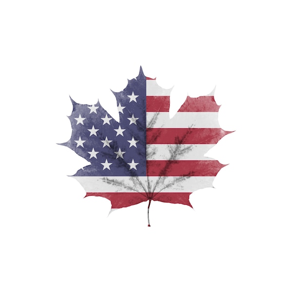 Flaga Ameryki na liściu jest izolowana na białym tle
