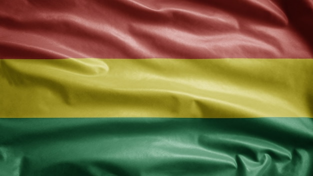 Zdjęcie flaga boliwii na wietrze
