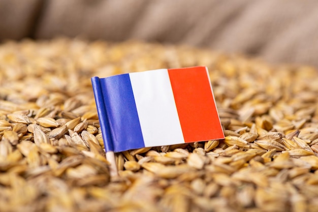 Flaga Francji na ziarnie jęczmienia