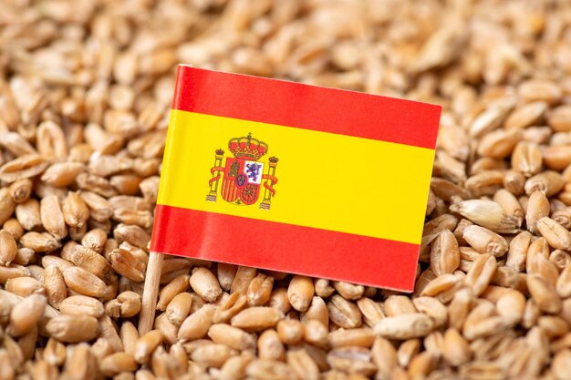 Flaga Hiszpanii na ziarnie pszenicy