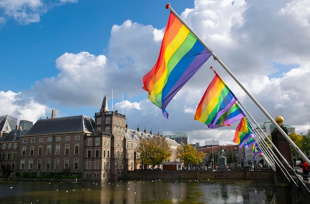 Flaga LGBT w Hadze