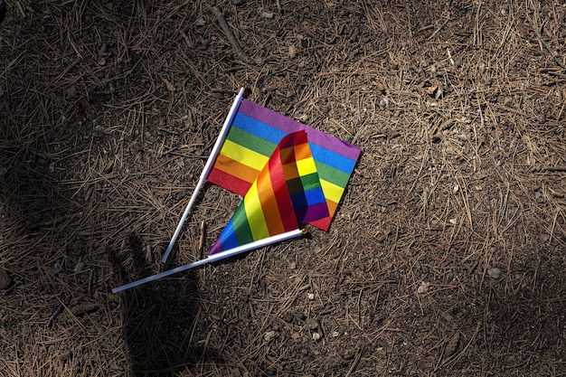 Flaga LGBT w terenie. Duma. Koncepcja wolności