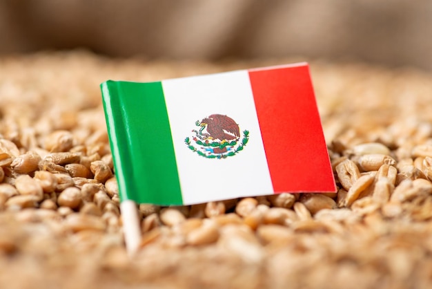 Flaga Meksyku na ziarnie pszenicy
