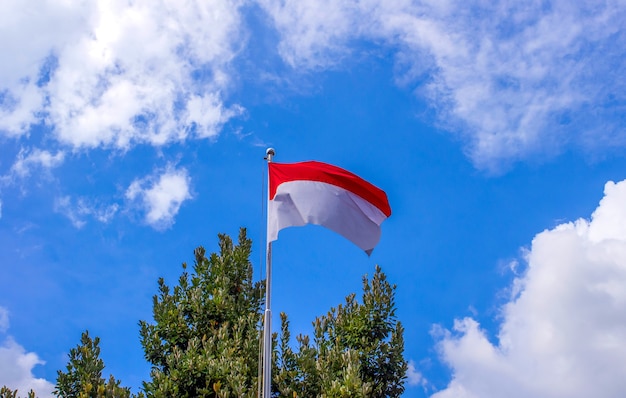 Flaga Narodowa Indonezji I Monako Z Niebieskim Niebem, Białą Chmurą I Tłem Zieleni