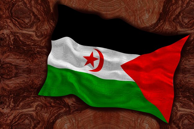 Flaga narodowa Sahrawi Arabskiej Republiki Demokratycznej Tło z flagą Saharyjskiej Arabskiej Republiki Demokratycznej