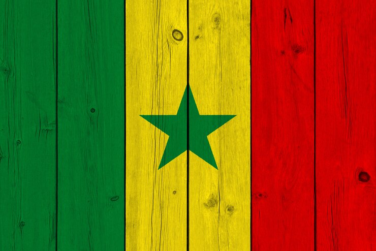 Zdjęcie flaga senegalu malowane na starej desce