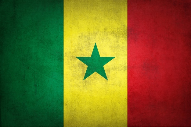 Flaga Senegalu Z Grunge Tekstur.