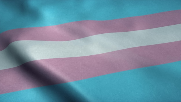 Flaga społeczności transseksualnej dumy