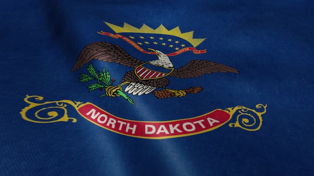 Flaga Stanowa Dakoty Północnej Wideo Na Wietrze.
