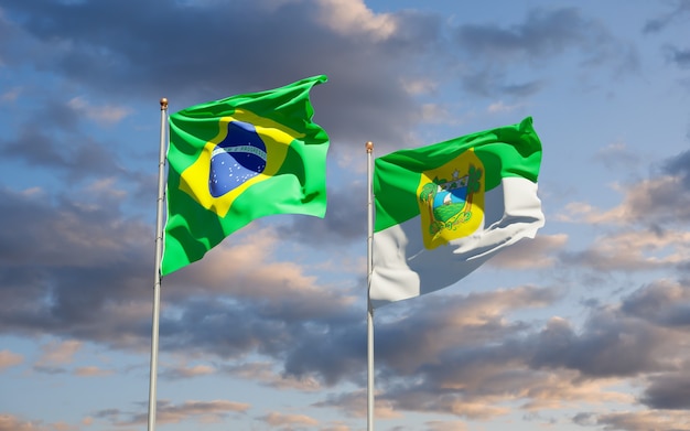 Flaga Stanu Grande Do Norto W Brazylii. Grafika 3d