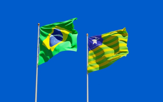 Flaga Stanu Piaui Brazylia. Grafika 3d