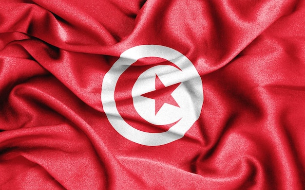 flaga tekstury tkaniny tunezji. ilustracja 3D