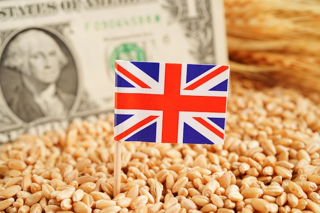 Flaga Wielkiej Brytanii na eksporcie handlu zbożem i koncepcji gospodarki