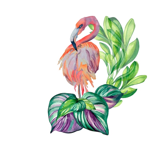 Flamingo kolorowe lato pozostawia akwarelową ilustrację na białym