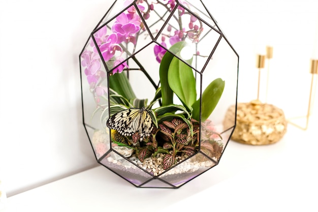Florarium - kompozycja sukulentów, kamienia, piasku i szkła, element wnętrza, wystrój domu, szklane terrarium