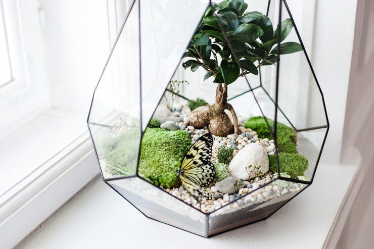 Zdjęcie florarium - kompozycja sukulentów, kamienia, piasku i szkła, element wnętrza, wystrój domu, szklane terrarium