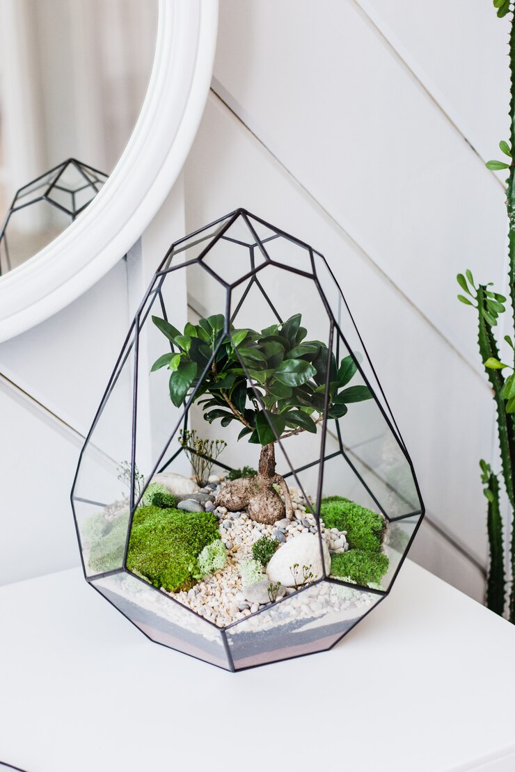 Zdjęcie florarium - kompozycja sukulentów, kamienia, piasku i szkła, element wnętrza, wystrój domu, szklane terrarium
