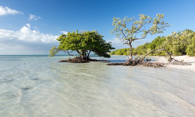 Florida Keys Anne's Beach