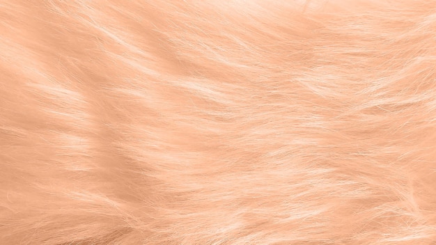 Zdjęcie fluffy fur close-up trend kolor roku brzoskwinia fuzz próbka tła