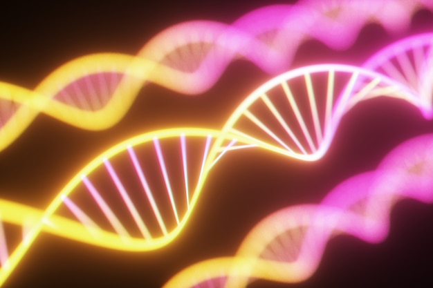 Fluorescencyjny ultrafioletowy łańcuch DNA