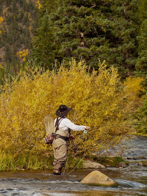 Fly rybak w Taylor River w stanie Kolorado.