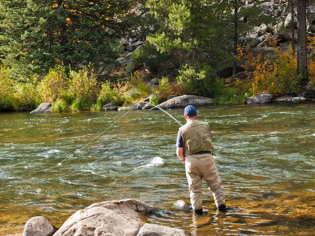 Fly rybak w Taylor River w stanie Kolorado.