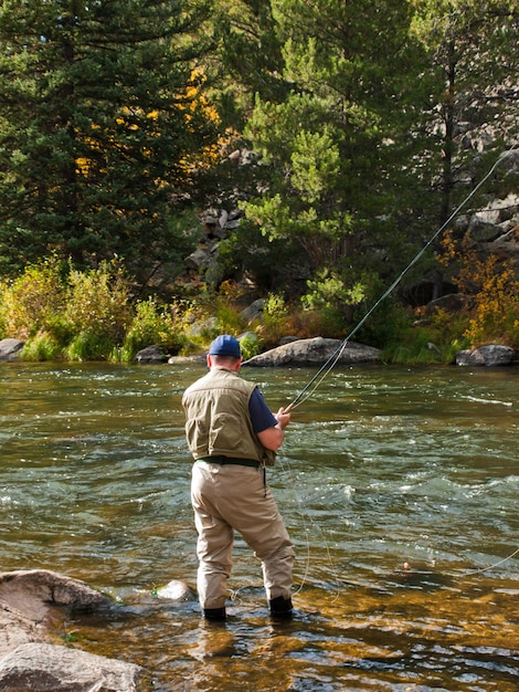 Fly rybak w Taylor River w stanie Kolorado.