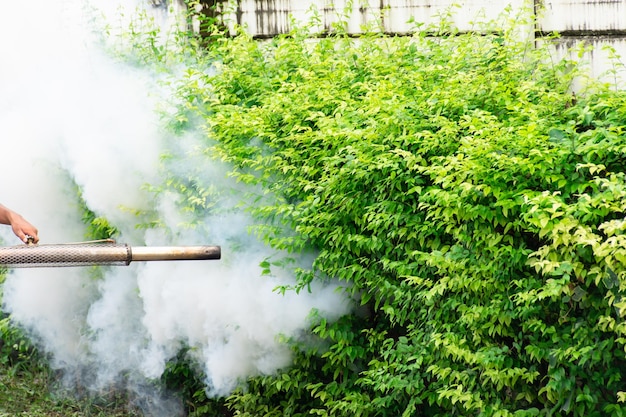 Fogging DDT spray na zabijanie komarów dla ochrony przed wirusami