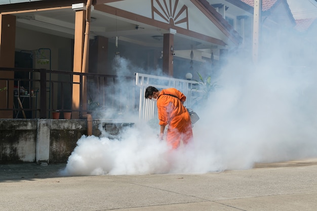 Fogging DDT spray zabić komara