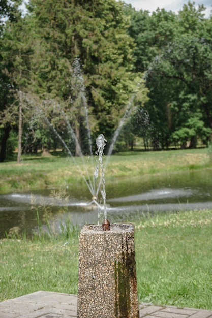 Fontanna do wody pitnej w parku na tle drzew