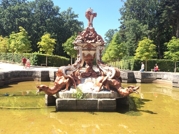 Zdjęcie fontanna w parku