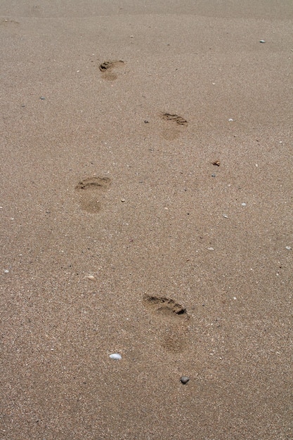 Footprints na piaszczystej plaży Selektywne fokus