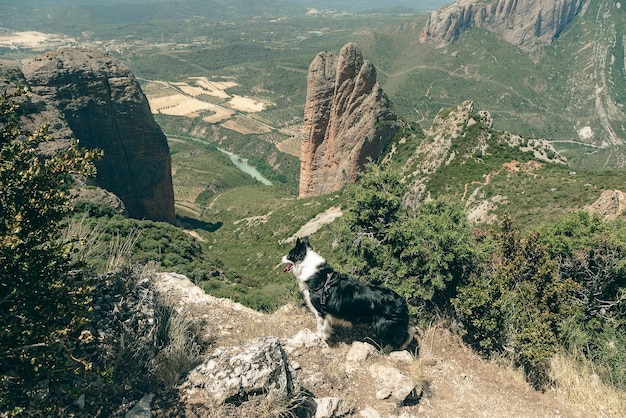 Formacja geologiczna mallos de Riglos w Huesca Aragon