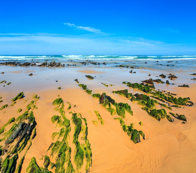 Zdjęcie formacje skalne na piaszczystej plaży (algarve, costa vicentina, portugalia).