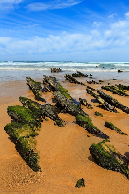 Formacje skalne na piaszczystej plaży i błękitne niebo z chmurami cumulus (Algarve, Costa Vicentina, Portugalia).