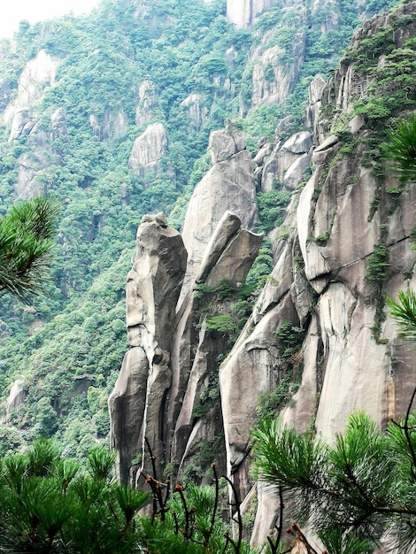 Zdjęcie formacje skalne przez drzewa